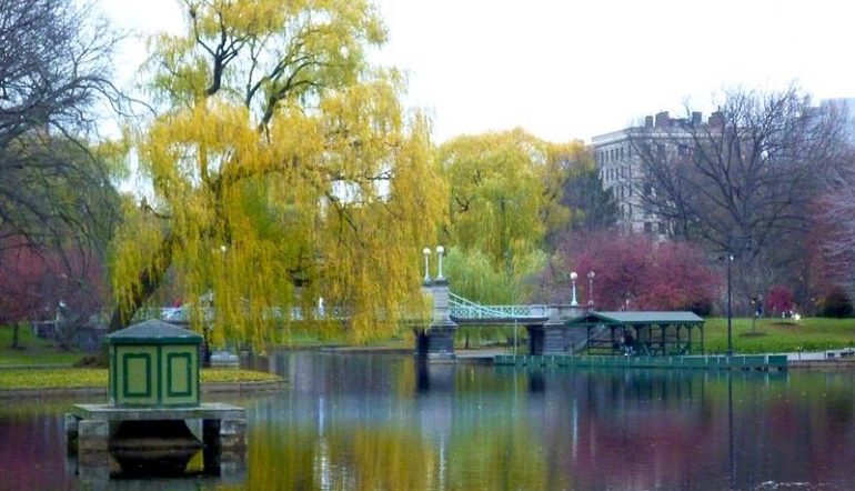 pond at Boston Public Garden with view of the bridge and pink and yellow-green trees