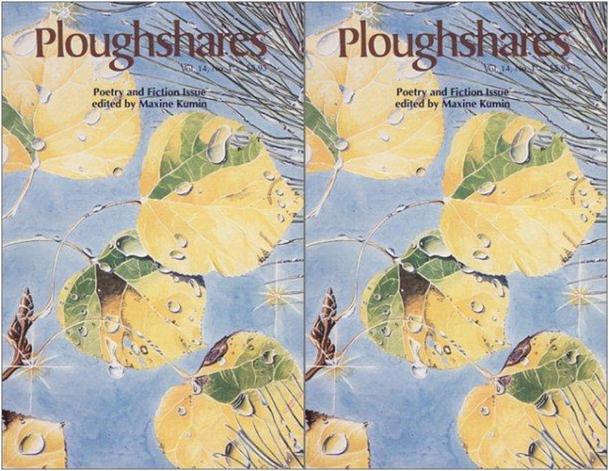 side by side cover of the Ploughshares Poetry and Fiction issue