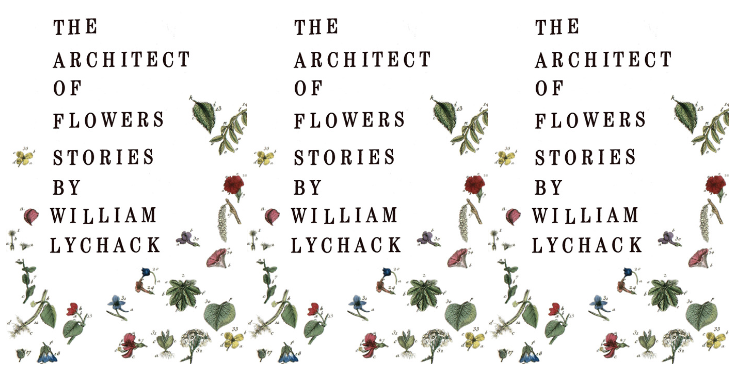 Cover art of William Lychack's The Architect of Flowers