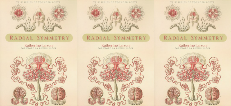 Cover art for Radial Symmetry by Katherine Larson