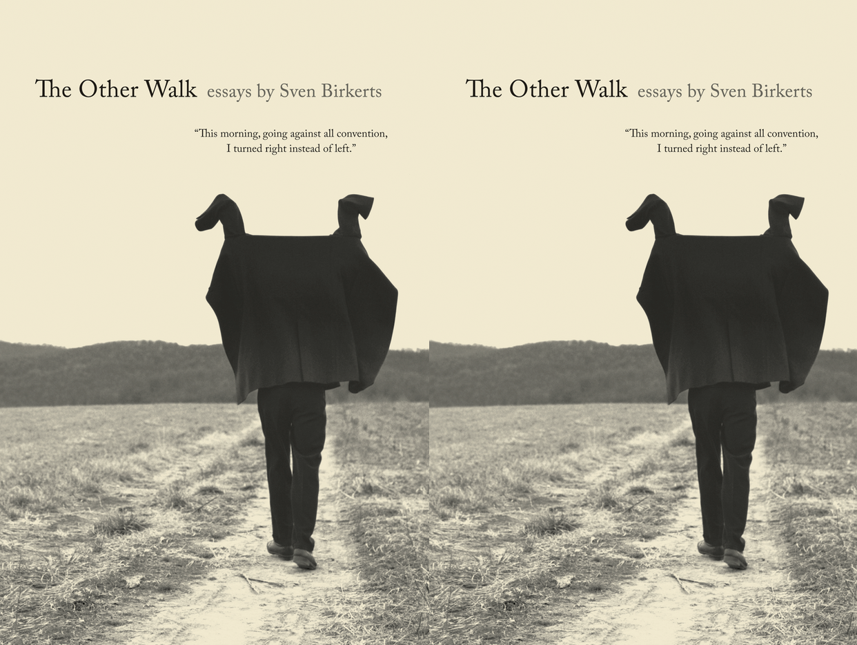 Cover art for The Other Walk by Sven Birkerts