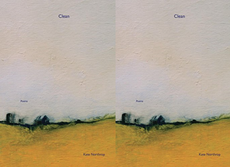 Cover art for Clean by Kate Northorp