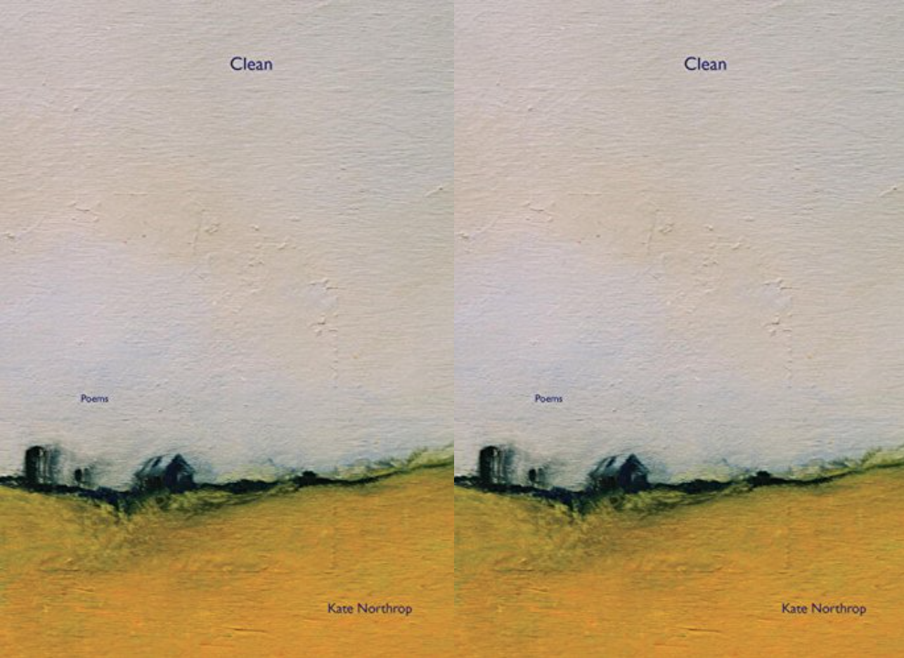 Cover art for Clean by Kate Northrop
