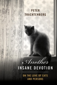 the cover of Another Insane Devotion