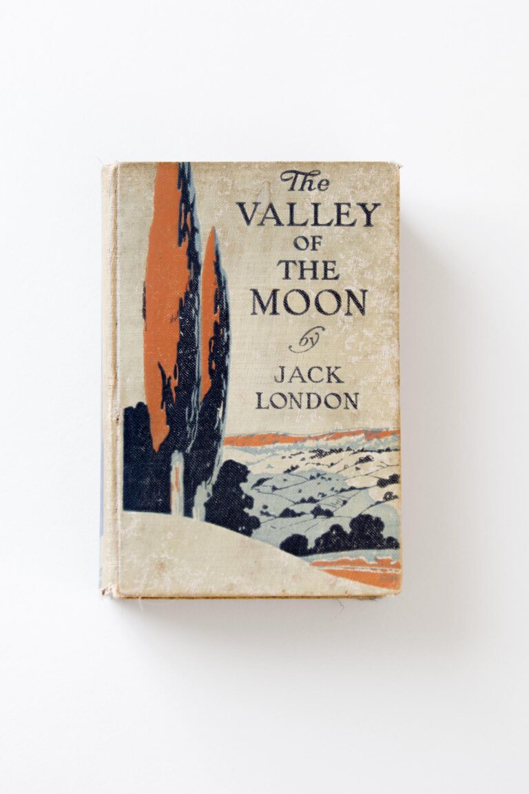 The Valley of the Moon by Jack London sits against a blank, white background