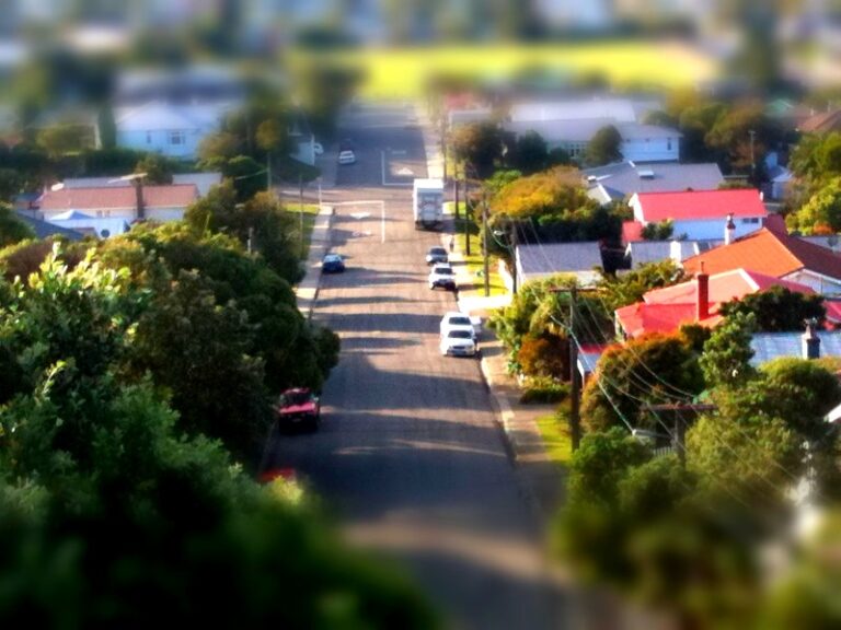 blurred photograph of a suburban street with tall trees and colorful roofs