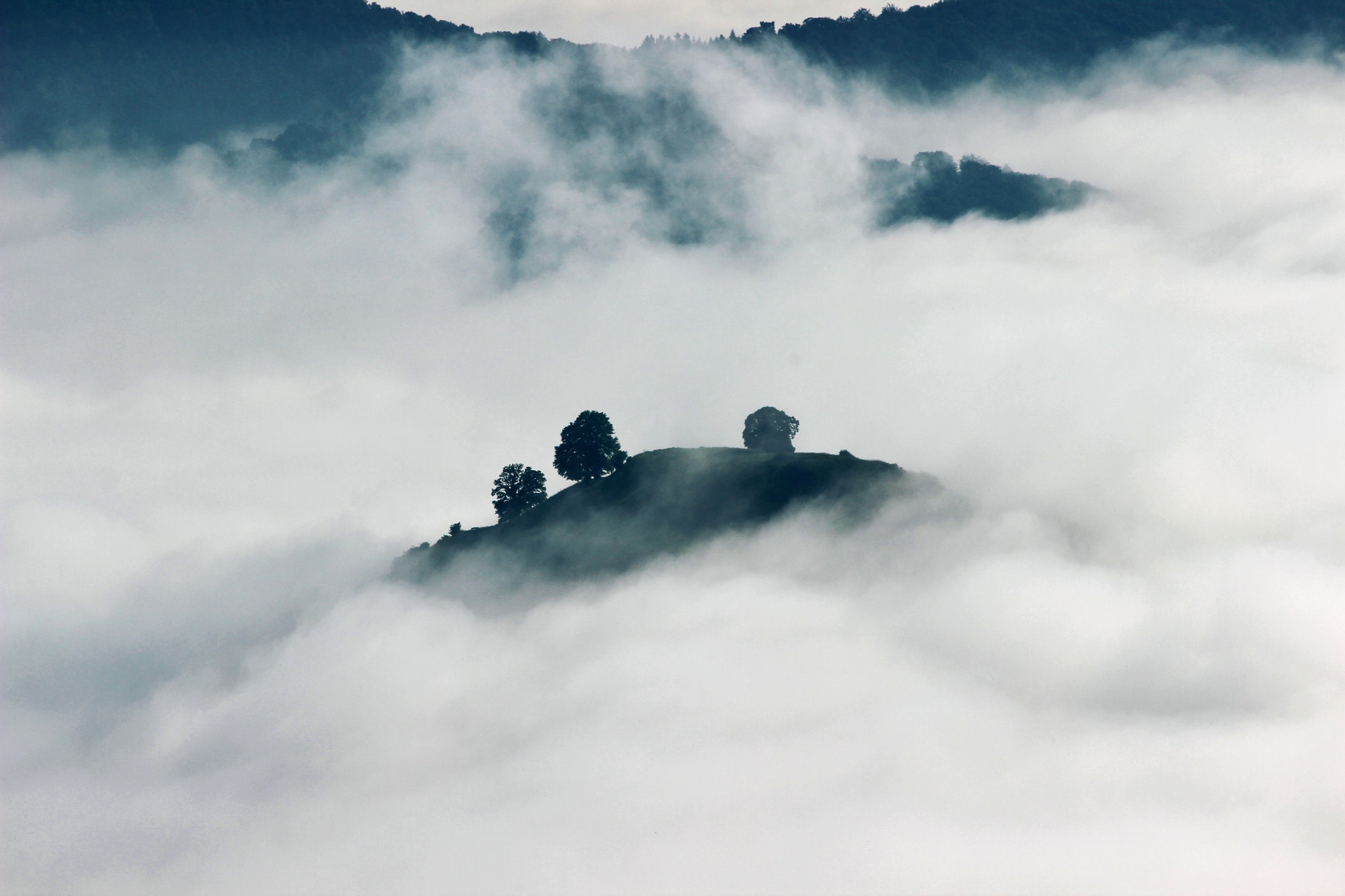 An overlooked landscape of clouds, the tops of mountains with trees cut through the low-hanging clouds