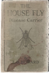 HOUSE-FLY-BOOK-COVER