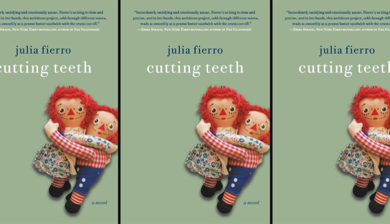 One Year In—Writing The Novel: Julia Fierro