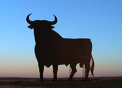 Mess With the Horns: A.L. Kennedy’s On Bullfighting