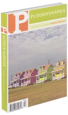 A journal cover with four brightly-colored bungalow houses in a field