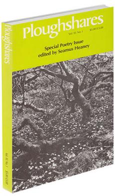 A journal cover: black and white image of bare trees with petals on the ground