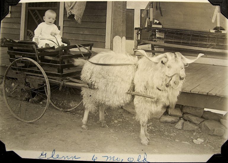 Baby with a Goat Cart