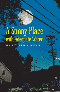 “It’s All About the Panic”: An Interview with Mary Biddinger
