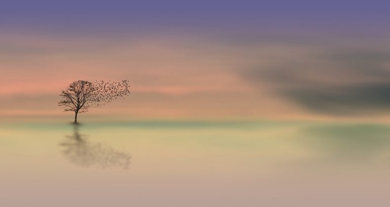 Image of a pastel purple, orange, and green sky with a tree and a large flock of birds flying from it