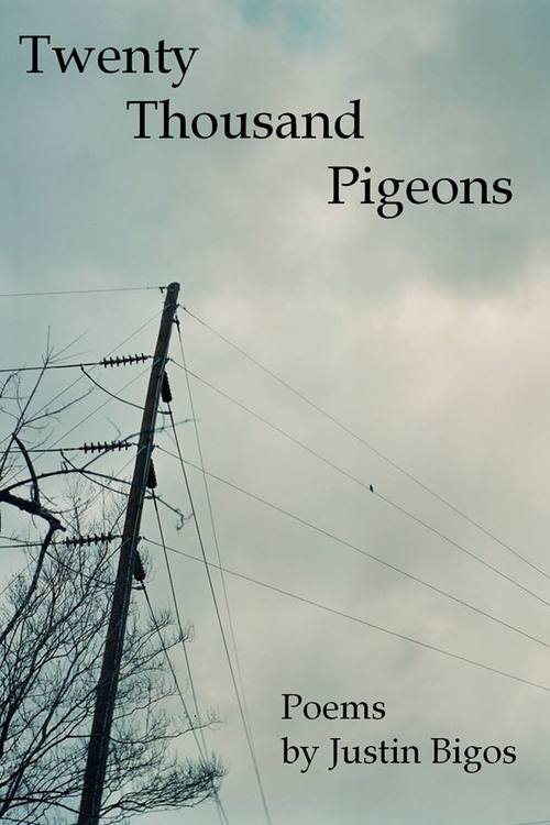 Review: TWENTY THOUSAND PIGEONS by Justin Bigos