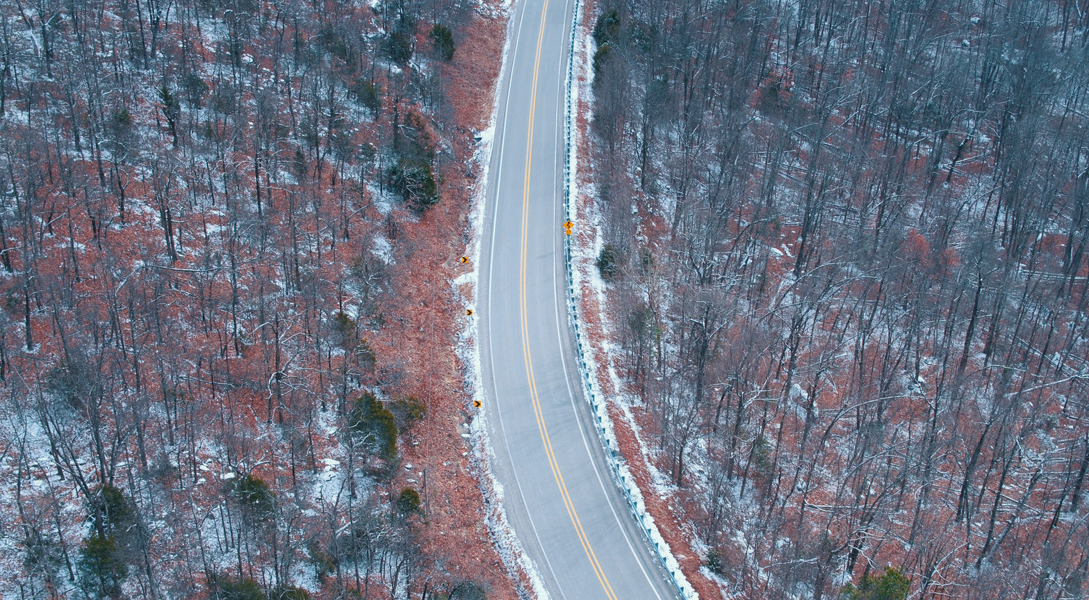 A curving road through a winter forest.