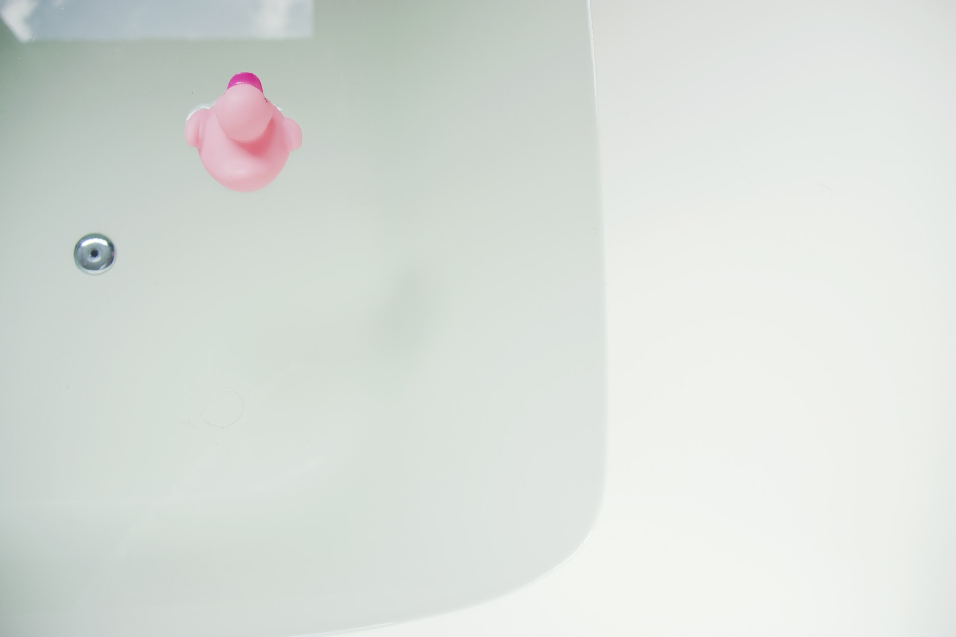 Pink rubber duck in bath tub.