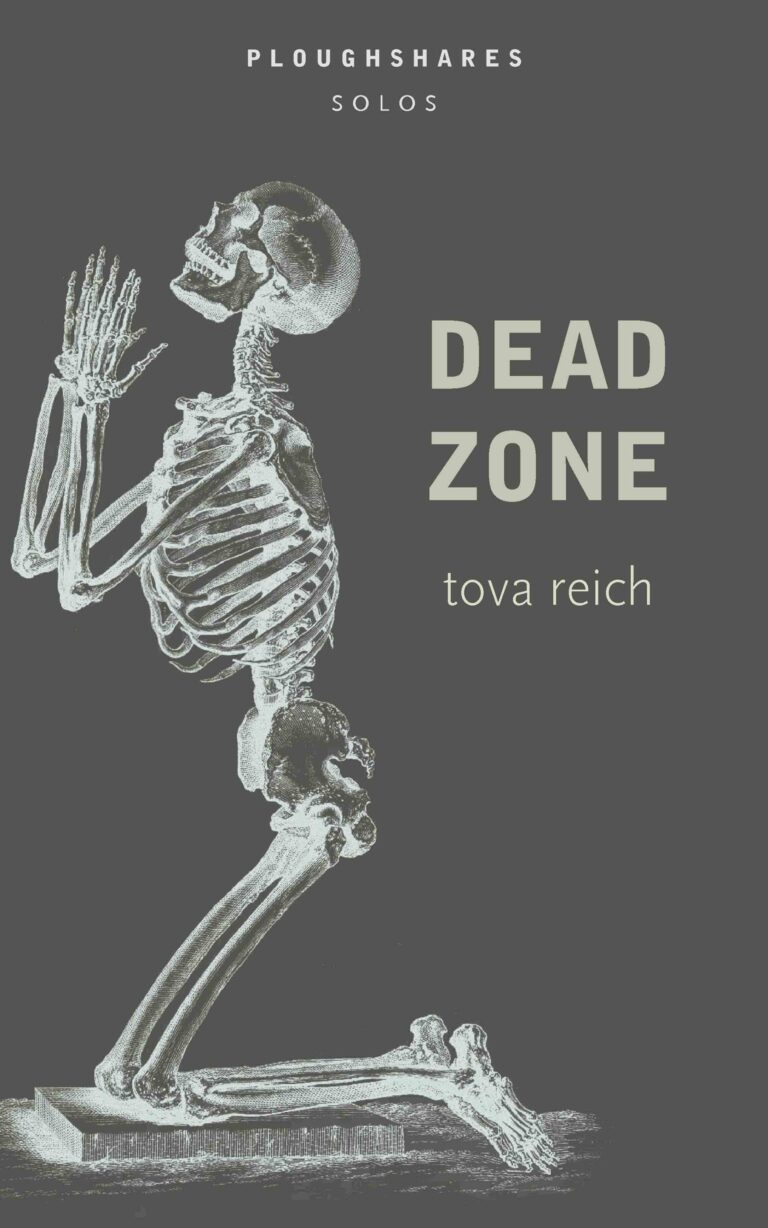 Dead Zone (Solo 3.9)