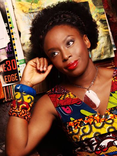 Literary Enemies: Chimamanda Ngozi Adichie vs. Maud Casey