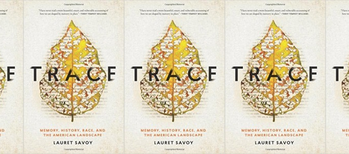 Review: TRACE: MEMORY, HISTORY, RACE, & THE AMERICAN LANDSCAPE by Lauret Edith Savoy