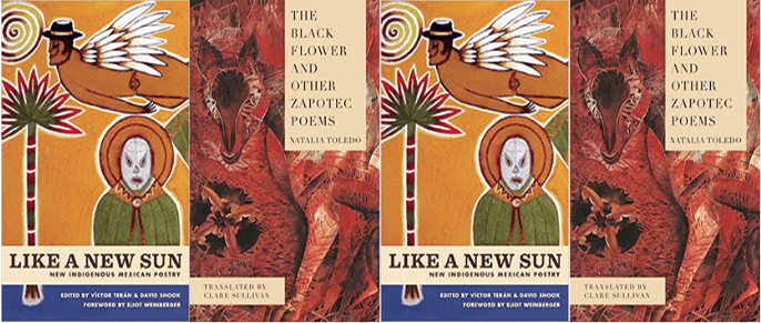side by side covers of Like A New Sun and The Black Flower And Other Poems