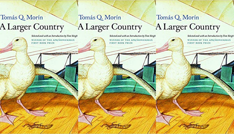 The cover of A Larger Country side by side.