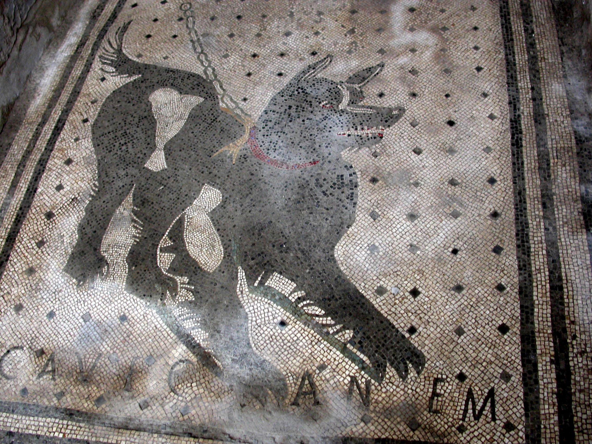 Picture of a Cave Canem dog made out of tiles. 