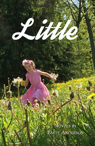 Review: LITTLE: NOVELS by Emily Anderson