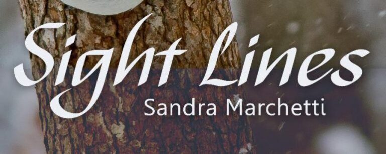 Sight Lines: An Interview with Poet Sandra Marchetti
