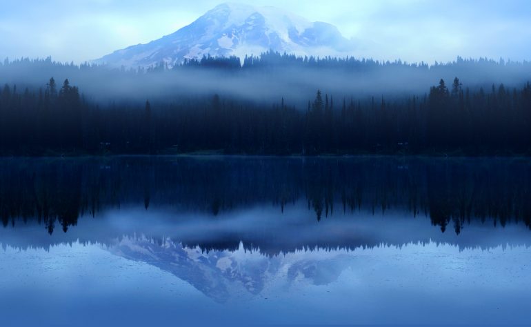 Mountain and forest reflected in water below