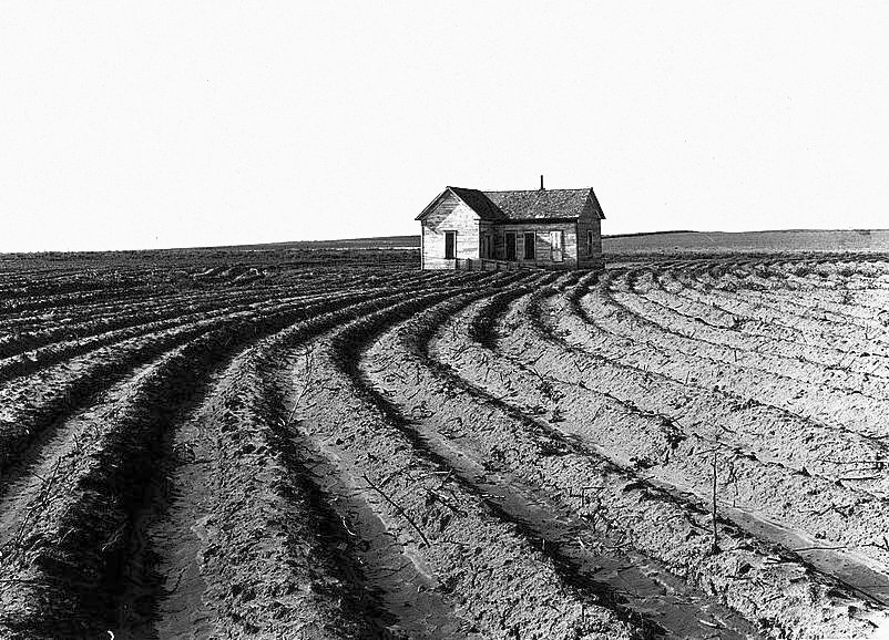 Farm house in a dusty field.