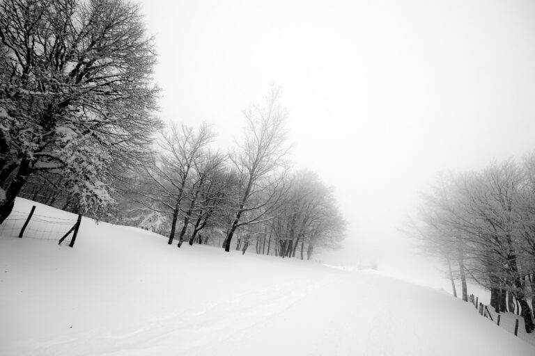 White-Out Conditions: Poetic Page, Scale, and Scope