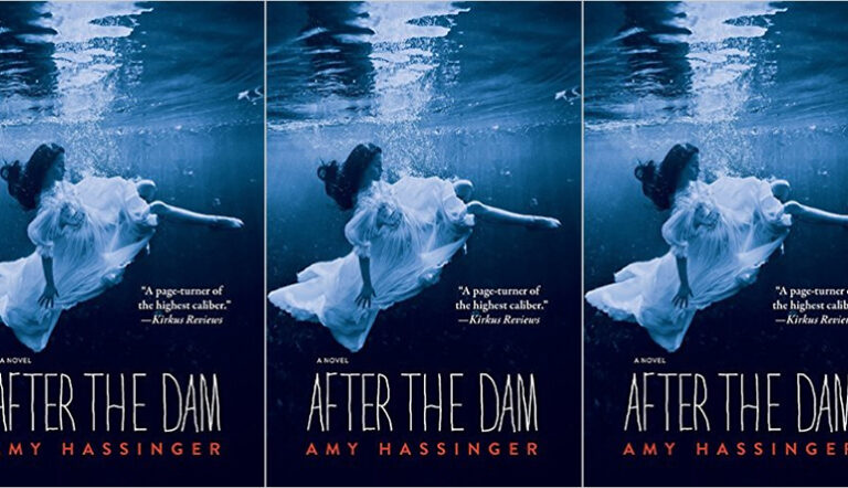Review: AFTER THE DAM by Amy Hassinger