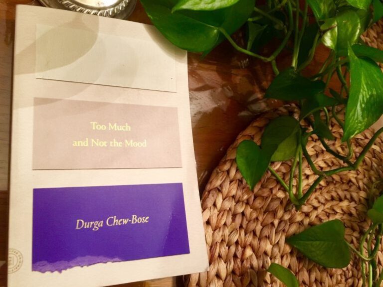 “Listening to my friends is one of my favorite ways to write”: An Interview with Durga Chew-Bose