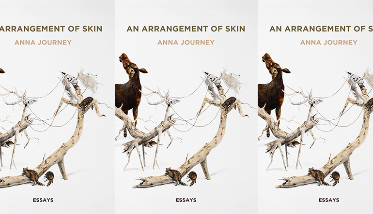 arrangement of skin by Journey book cover
