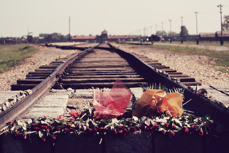 auschwitz railroad with flowers