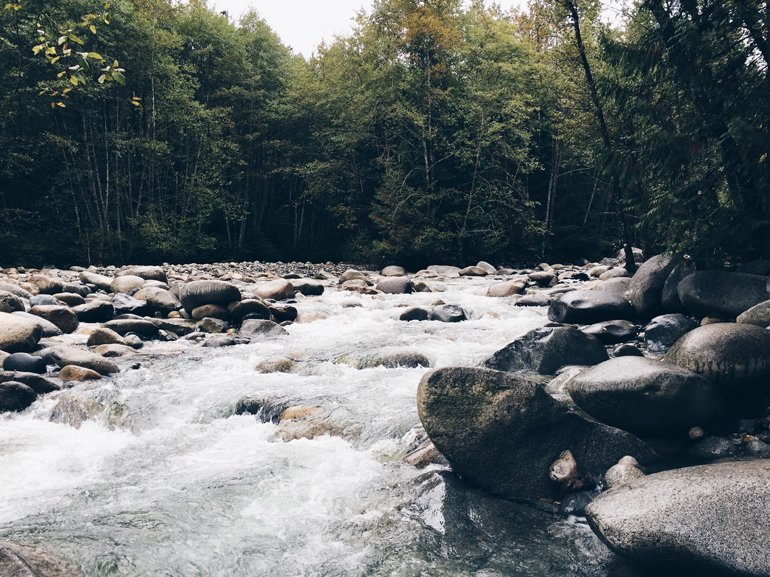 River surrounded by trees and rocks