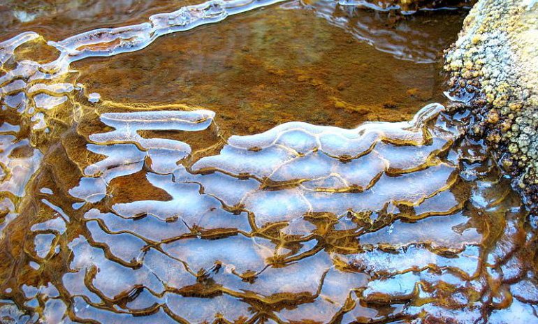 Rippled water