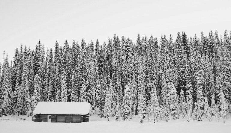 Small cabin in front of large trees covered in snow.
