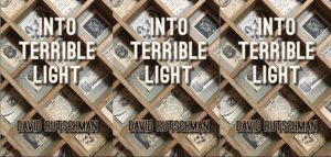 Book cover of "Into Terrible Light" with wooden compartment drawers behind the text.