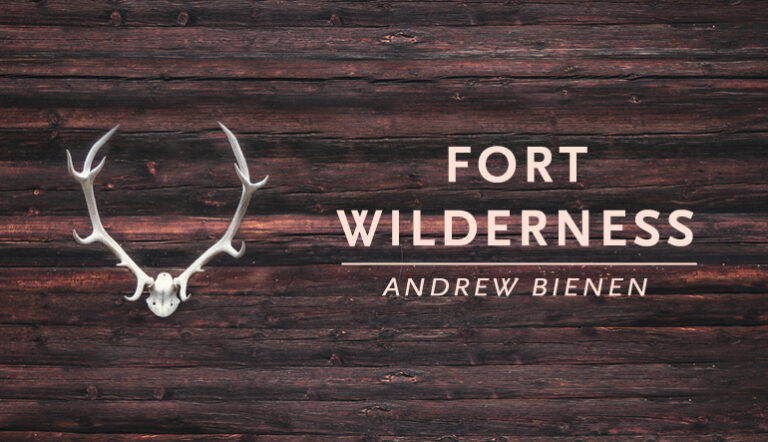 “Fort Wilderness” by Andrew Bienen