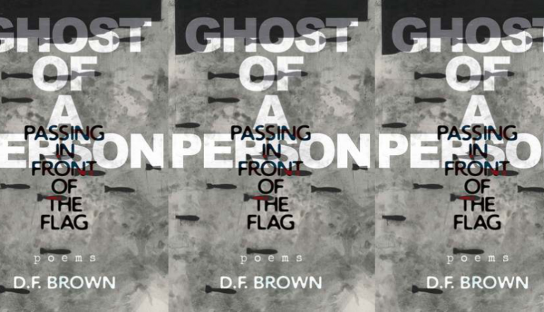 The Poetics of Directness in D. F. Brown’s Ghost of a Person Passing in Front of the Flag