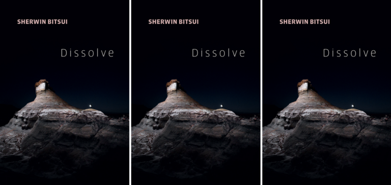 Dissolve by Sherwin Bitsui