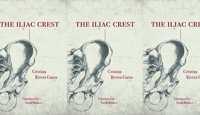 Disappearing Distinctions in Cristina Rivera Garza’s The Iliac Crest