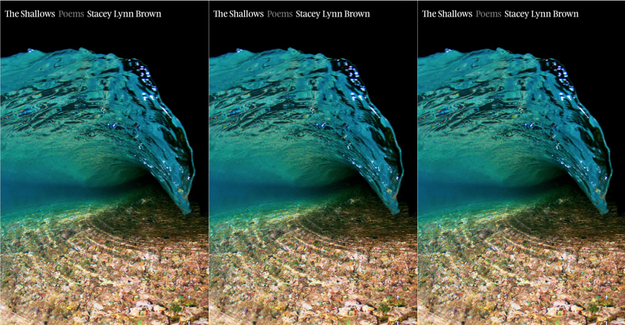 Cover image of Stacey Lynn Brown's The Shallows in repeating pattern