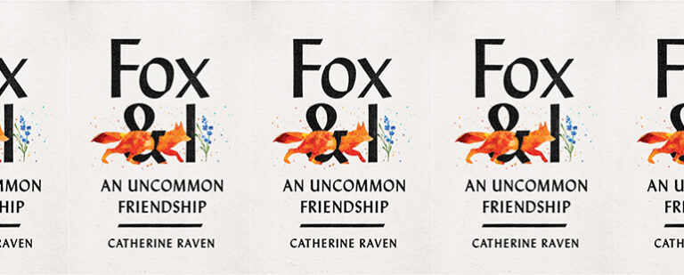 Fox & I and the Power of Unusual Friendships
