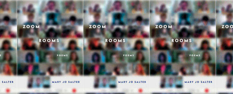 Facing Pandemic Memories in Mary Jo Salter’s Zoom Rooms