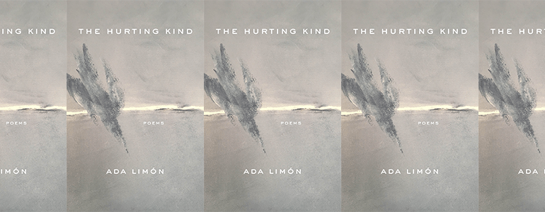 the book cover for The Hurting Kind, featuring an ethereal painting of a bird diving in the sky