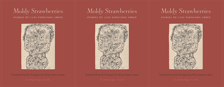 the book cover for Moldy Strawberries